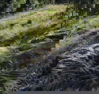 Terramungamine Rock Grooves - Accommodation Brisbane