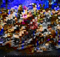 The Pink Flamingo Spiegelclub Gold Coast - Accommodation Brisbane