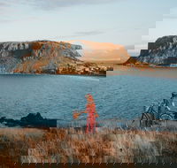 The Nut - Accommodation Brisbane