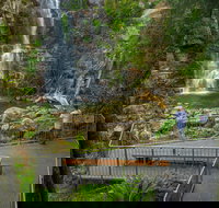 The Falls Walk Budderoo National Park - Accommodation Brisbane