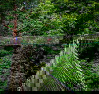 Thunderbird Park  - Tamborine Mountain Gold Coast Region - Accommodation Brisbane