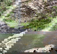 Twin Falls Circuit Springbrook National Park - Accommodation Brisbane