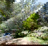 Wadbilliga Road drive - Accommodation Brisbane