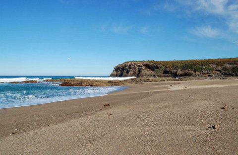 Wallarah National Park - Accommodation Brisbane 0