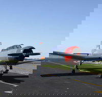 Warrior Warbirds - Open - Accommodation Brisbane