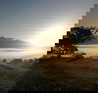 Wollumbin-Mount Warning National Park - Accommodation Brisbane