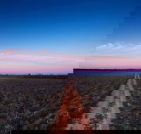 Yanga National Park - Accommodation Brisbane