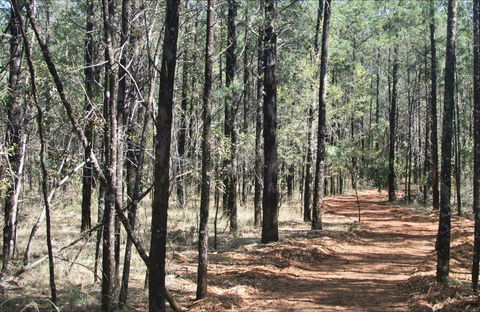 Yana-y Warruwi Walking Track - Accommodation Brisbane 0