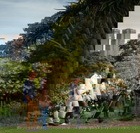 Aboriginal Heritage Walk - Accommodation Brisbane