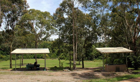 Back Creek Picnic Area - Accommodation Brisbane 0