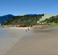 Broken Head Nature Reserve - Accommodation Brisbane