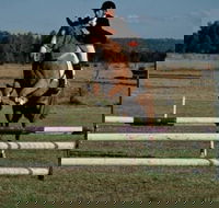 Camden Bicentennial Equestrian Park - Accommodation Brisbane