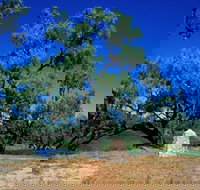 Comet - Accommodation Brisbane