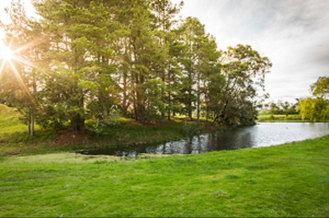 Curlewis Golf Club & The Range At Curlewis The Bellarine - Accommodation Brisbane 1