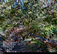 Dawson River Walking Track - Accommodation Brisbane