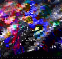 Didgeridoo Festivals - Accommodation Brisbane