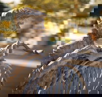 Evandale - Accommodation Brisbane