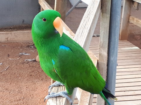 Eyre Reptile & Wildlife Park - Accommodation Brisbane 0