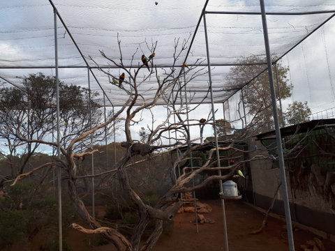 Eyre Reptile & Wildlife Park - Accommodation Brisbane 2