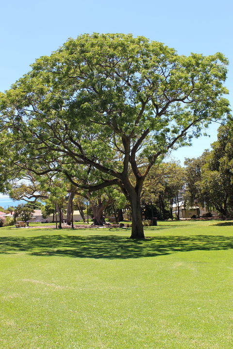 Flinders Park Playground - Accommodation Brisbane 0