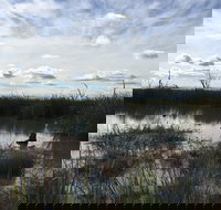 Gwydir Wetlands Moree - Accommodation Brisbane