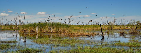 Gwydir Wetlands Moree - Accommodation Brisbane 1