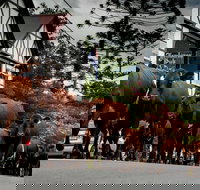 Jamberoo - Accommodation Brisbane