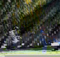 Jellicoe Park - Accommodation Brisbane