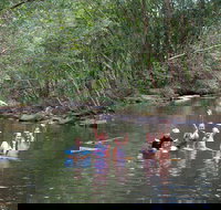 Kerewong State Forest - Accommodation Brisbane