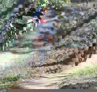 Kidsons Cycles - Accommodation Brisbane