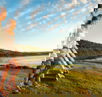 Killalea Reserve - Accommodation Brisbane