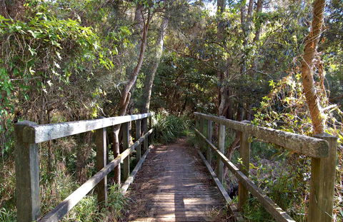 Lake Macquarie State Conservation Area - Accommodation Brisbane 1