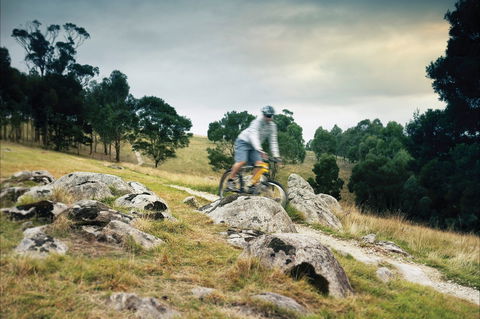 Lysterfield Park - Accommodation Brisbane 1