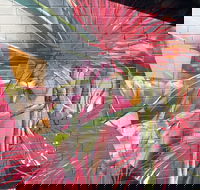 Mokoan Rest Stop Northbound - Accommodation Brisbane