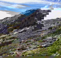 Mount Stillwell walk - Accommodation Brisbane