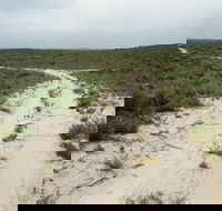 Ngarkat Conservation Park - Accommodation Brisbane
