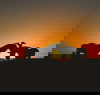 Outback Pony Rides Farm Experience - Accommodation Brisbane