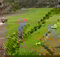 Pambula Merimbula Golf Club - Accommodation Brisbane