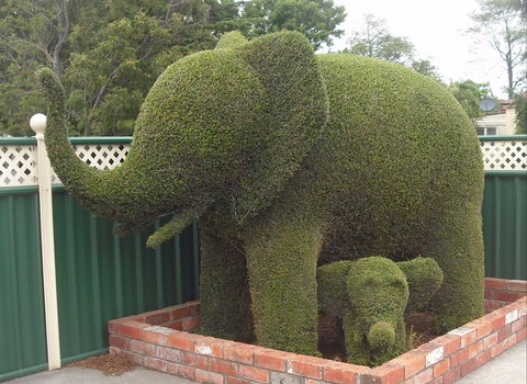 Railton: Town Of Topiary - Accommodation Brisbane 0