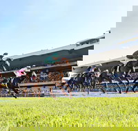 Rosehill Gardens Racecourse - Accommodation Brisbane