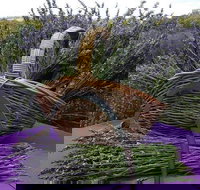 Rustique Lavender Farm - Accommodation Brisbane