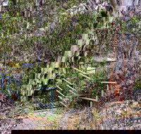 Sawpit Walking Track - Accommodation Brisbane