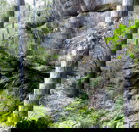 She-Oak Crossing Walk - Accommodation Brisbane