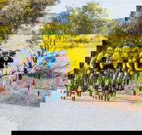 The Heron's Highway - Avon River Cycle Trail - Accommodation Brisbane