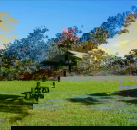 Tunks Hill picnic area - Accommodation Brisbane