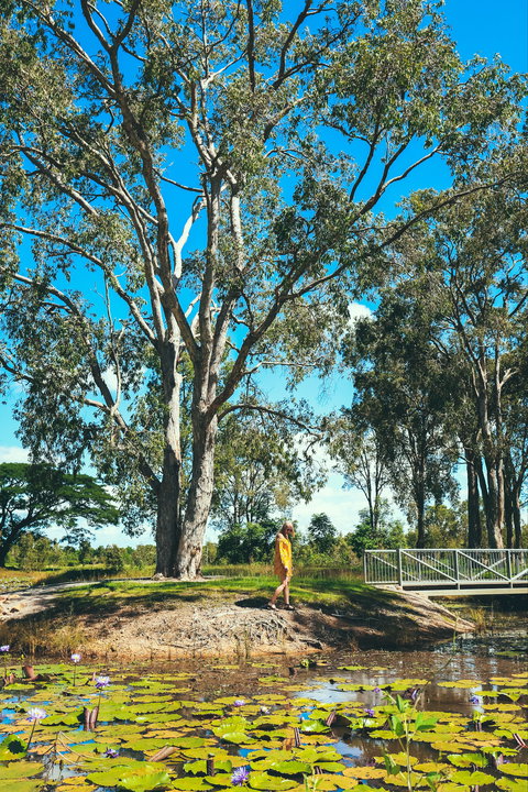 TYTO Wetlands - Accommodation Brisbane 1