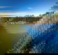 Weir View walking track - Accommodation Brisbane