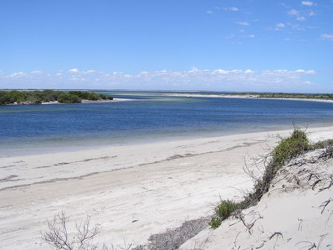 Acraman Creek Conservation Park - Accommodation Brisbane 0