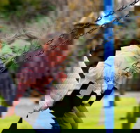 Apex Park Moree - Accommodation Brisbane