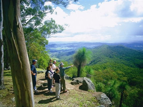 Binna Burra - Accommodation Brisbane 0